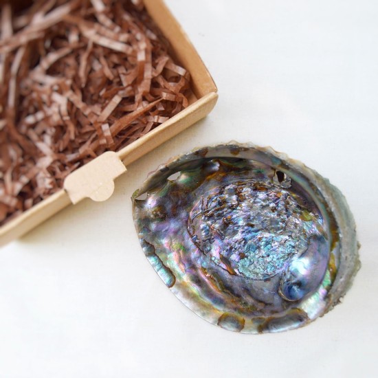 Natural Abalone Seashell Incense Burner